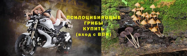 гашик Белоозёрский