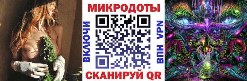 Псилоцибиновые грибы Psilocybe  где продают   Жиздра 